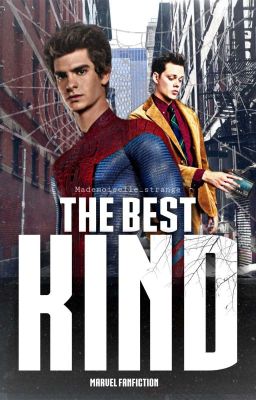 THE BEST KIND- The Amazing Spider-Man 