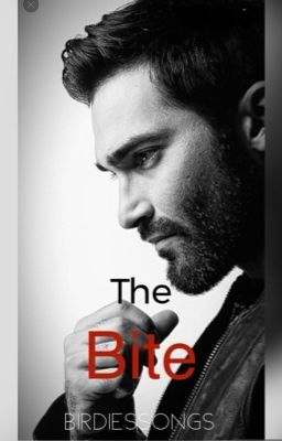 The Bite: Derek Hale x reader (One Shots) 