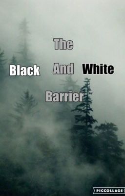 The Black and White Barrier (roleplay)