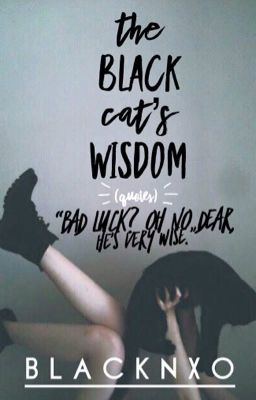 The Black Cat's Wisdom || Quotes 