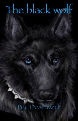 the black wolf