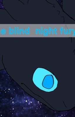 The blind night fury 