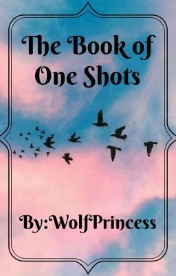 The Book Of One Shots