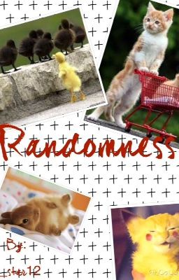 The book of Randomness