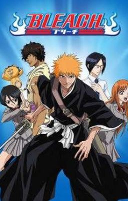 The Broken Soul Reaper ( Bleach X Male Reader ) 