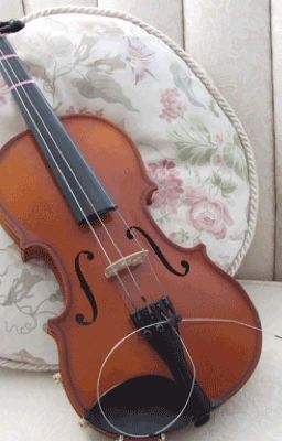 The Broken Violin String