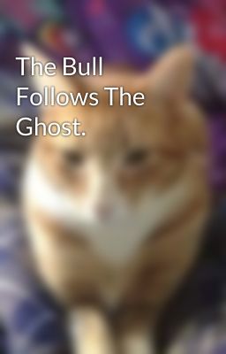 The Bull Follows The Ghost.