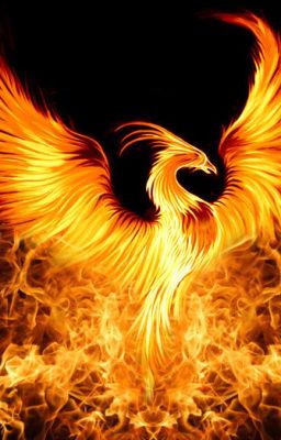 The burning Phoenix part 1