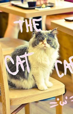 The Cat Cafe! 