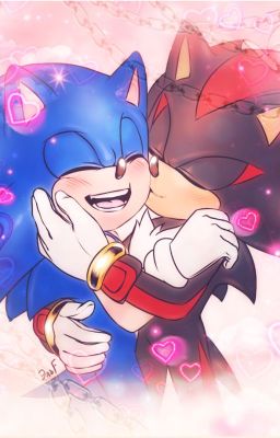 The Confession (Sonadow) (On Pause)