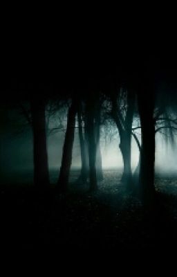 The Dark Forest RP