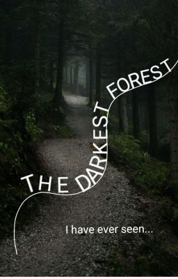 The darkest forest I have ever seen..