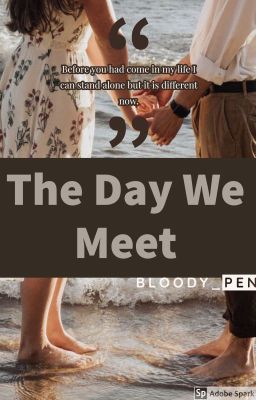 The Day We Meet (ON-HOLD)