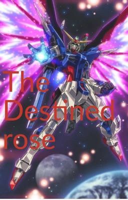 The Destined  rose remastered