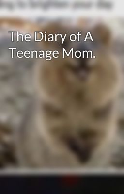 The Diary of A Teenage Mom.