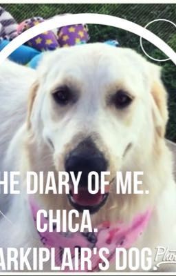 The Diary Of Me. Chica. Markiplair's dog.