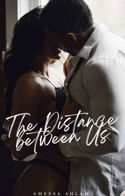 The Distance Between Us (The Ludovica Siblings #2)