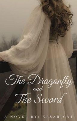 The Dragonfly and The Sword