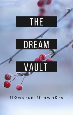 The Dream Vault