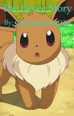 The Eevee Story