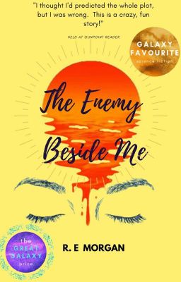 The Enemy Beside Me + The Liar Beside Me (Book 1 and 2)