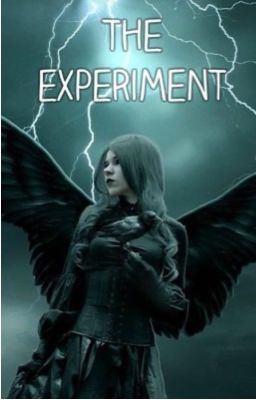 The Experiment