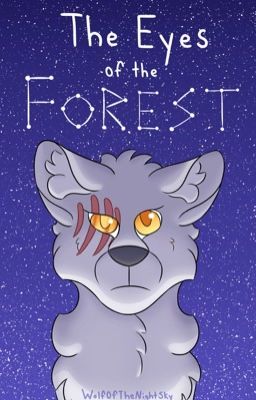 The Eyes of the Forest