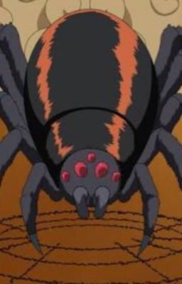 The fantasy life of a spider