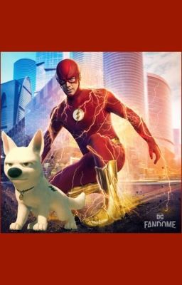 The Flash: Bolt the Dog Flash