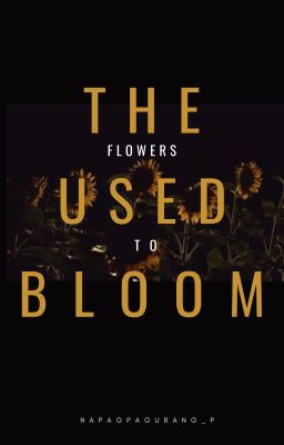 The Flowers Used To Bloom