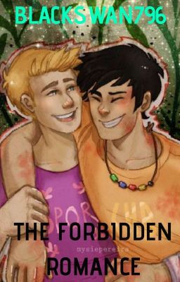 The Forbidden Romance✓