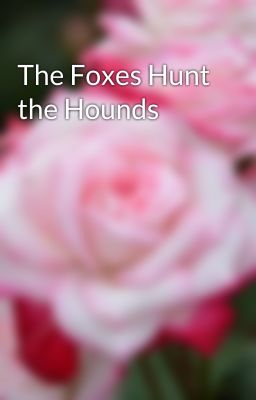 The Foxes Hunt the Hounds  