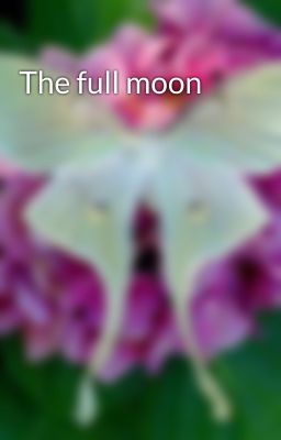 The full moon