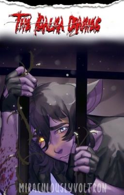 The Galra Diaries ... Klance