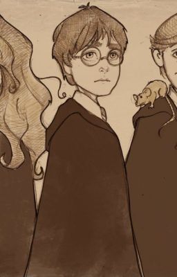 The Glasses (A Harry Potter spin off)