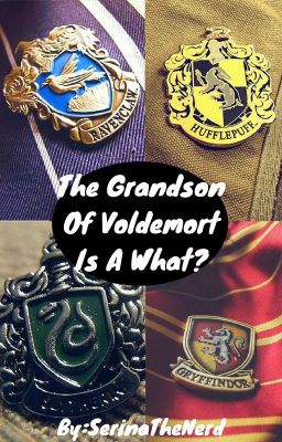 The Grandson Of Voldemort Is A What?