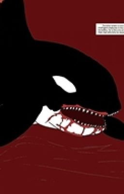 The Great Killer Whale War