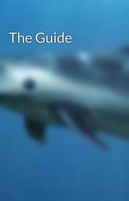 The Guide