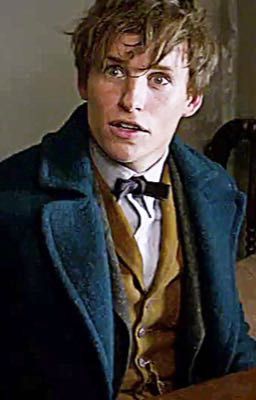 The help he'll never ask for ( Newt Scamander fanfiction)