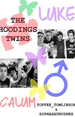 The Hoodings Twins ➳ Cake