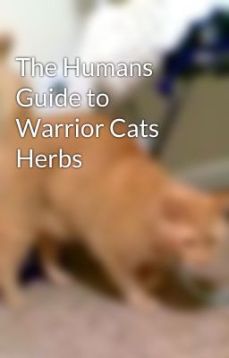 The Humans Guide to Warrior Cats Herbs