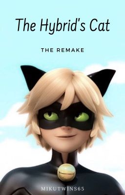 The Hybrid's Cat |Seme! Male! Reader x Chat Noir|