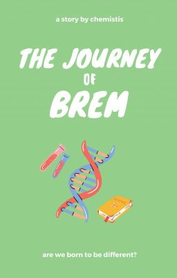 The Journey of BREM