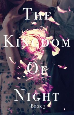 The Kingdom of Night (Book 3)