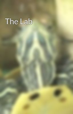 The Lab