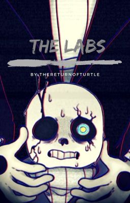 The Labs (A Sans X Gaster Fanfic)