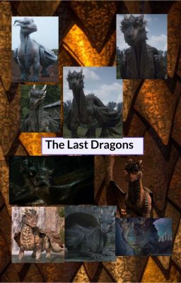 The Last Dragons