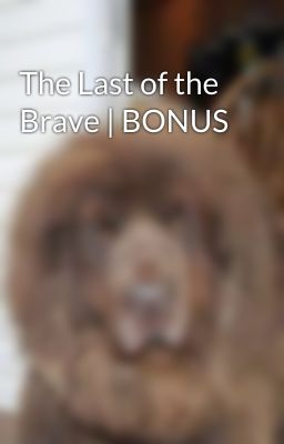 The Last of the Brave | BONUS