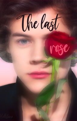 The last rose - Interaktive 1D Fanfiction