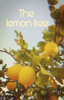 The Lemon Tree: Females X Male Reader Smut (No Requests)